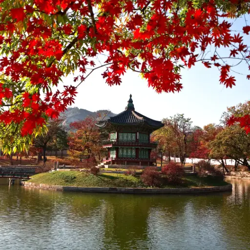 [CATAI  COREA COMPLETO] Corea al Completo