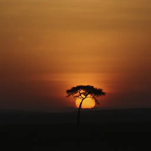 [CATAI Amanecer en Kenia y Tanzania] Amanecer en Kenia y Tanzania